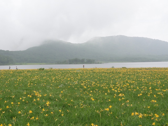 ͺ��¤Υ˥å���������