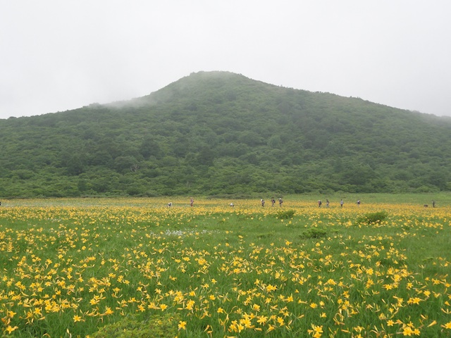 ͺ��¤Υ˥å���������