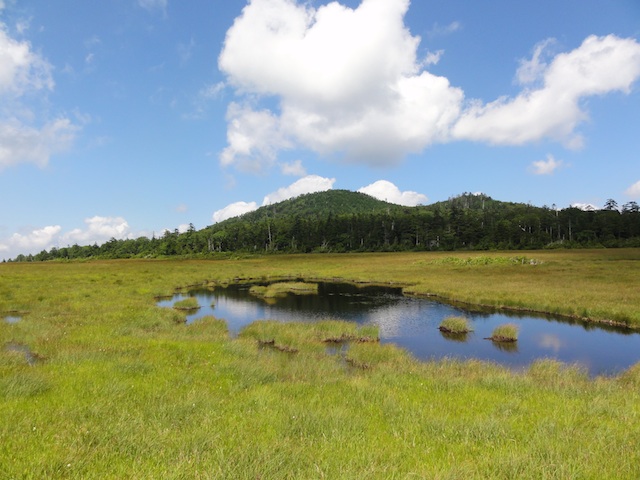 ���ܾ¤�굴�ܾ»����פ�