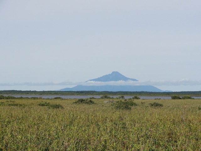 �����٥ĸ���ȥѥ󥱾¤������ٻ�