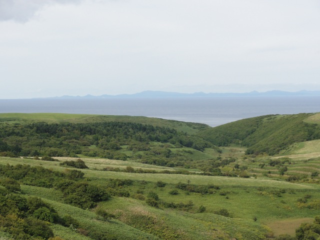 ��ë���ͤȳ���