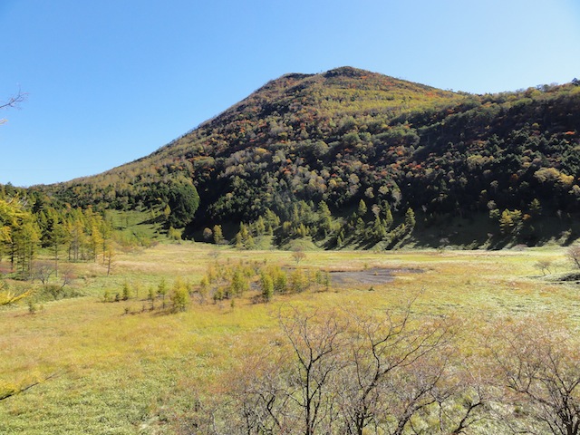 ����˹�һ�������