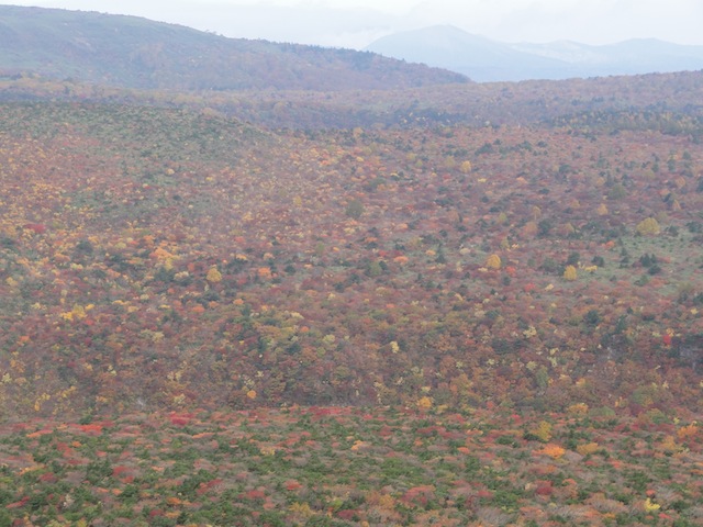 ��ã���ɻ�