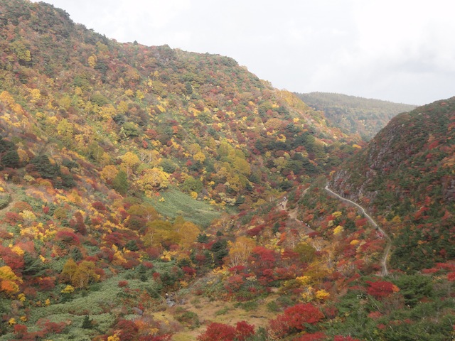 ��ã���ɻ�