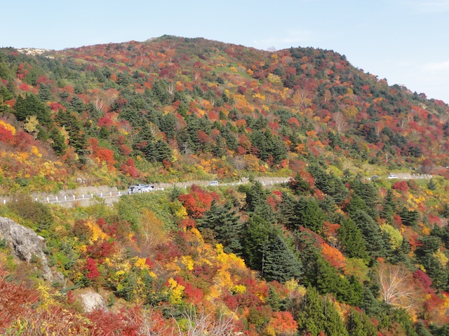 ������ʥ������饤��